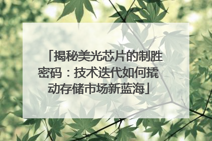 揭秘美光芯片的制胜密码：技术迭代如何撬动存储市场新蓝海