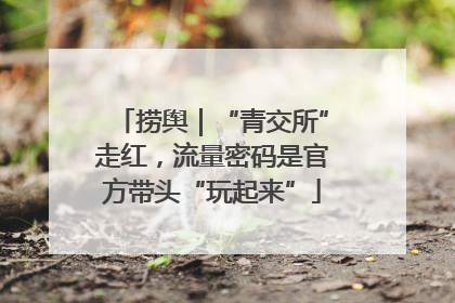 捞舆｜“青交所”走红，流量密码是官方带头“玩起来”