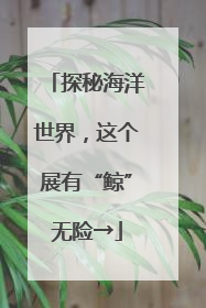 探秘海洋世界，这个展有“鲸”无险→
