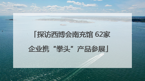 探访西博会南充馆 62家企业携“拳头”产品参展