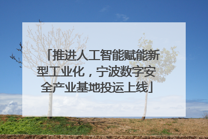 推进人工智能赋能新型工业化，宁波数字安全产业基地投运上线