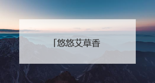 悠悠艾草香 片片粽叶长