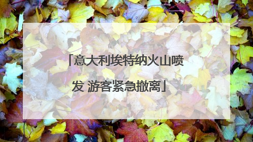 意大利埃特纳火山喷发 游客紧急撤离