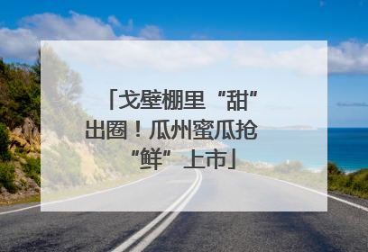 戈壁棚里“甜”出圈！瓜州蜜瓜抢“鲜”上市