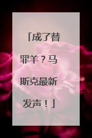 成了替罪羊？马斯克最新发声！