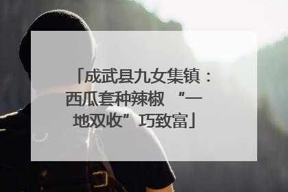 成武县九女集镇：西瓜套种辣椒 “一地双收”巧致富