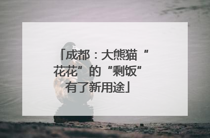 成都：大熊猫“花花”的“剩饭”有了新用途