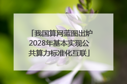 我国算网蓝图出炉 2028年基本实现公共算力标准化互联