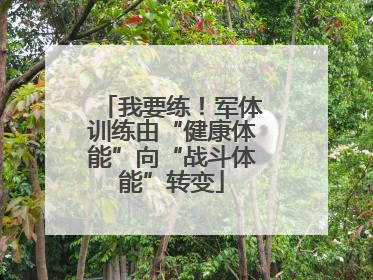 我要练！军体训练由“健康体能”向“战斗体能”转变