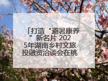 打造“避暑康养”新名片 2025年湖南乡村文旅投融资洽谈会在桃江举办