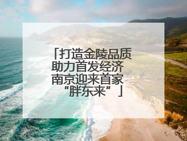 打造金陵品质 助力首发经济 南京迎来首家“胖东来”
