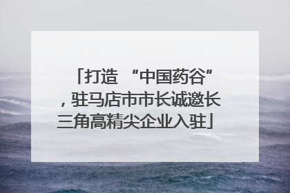 打造 “中国药谷”，驻马店市市长诚邀长三角高精尖企业入驻