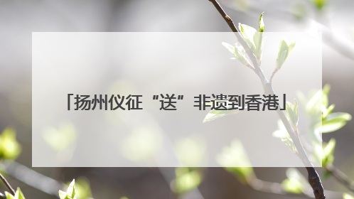 扬州仪征“送”非遗到香港