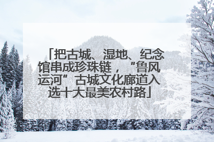 把古城、湿地、纪念馆串成珍珠链，“鲁风运河”古城文化廊道入选十大最美农村路
