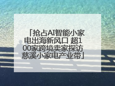 抢占AI智能小家电出海新风口 超100家跨境卖家探访慈溪小家电产业带