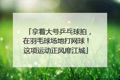 拿着大号乒乓球拍，在羽毛球场地打网球！这项运动正风靡江城