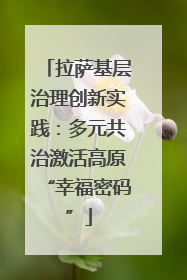 拉萨基层治理创新实践：多元共治激活高原“幸福密码”