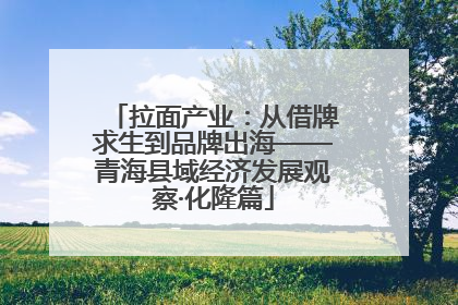 拉面产业：从借牌求生到品牌出海——青海县域经济发展观察·化隆篇