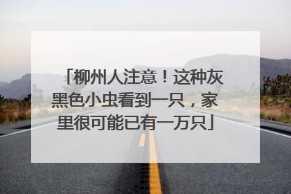 柳州人注意！这种灰黑色小虫看到一只，家里很可能已有一万只