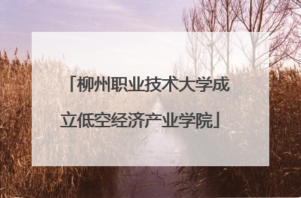 柳州职业技术大学成立低空经济产业学院
