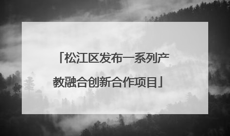 松江区发布一系列产教融合创新合作项目