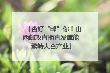杏好“邮”你！山西邮政直播直发赋能繁峙大杏产业