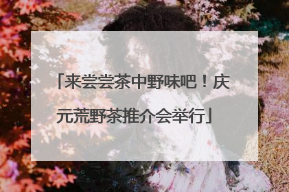 来尝尝茶中野味吧！庆元荒野茶推介会举行