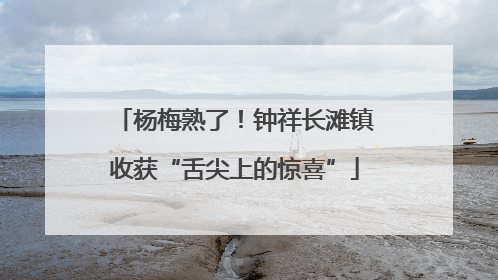 杨梅熟了！钟祥长滩镇收获“舌尖上的惊喜”
