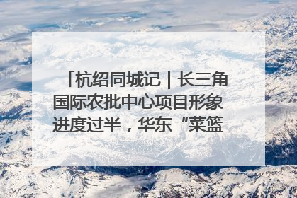 杭绍同城记｜长三角国际农批中心项目形象进度过半，华东“菜篮子”建设加码提速！