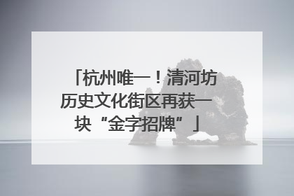 杭州唯一！清河坊历史文化街区再获一块“金字招牌”