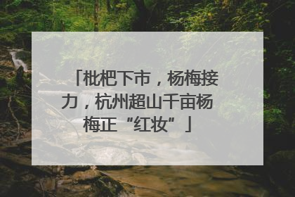 枇杷下市，杨梅接力，杭州超山千亩杨梅正“红妆”