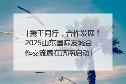 携手同行，合作发展！2025山东国际友城合作交流周在济南启动