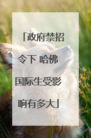 政府禁招令下 哈佛国际生受影响有多大
