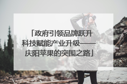 政府引领品牌跃升 科技赋能产业升级——庆阳苹果的突围之路