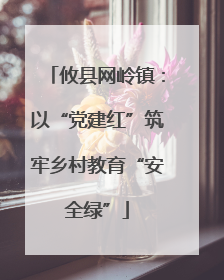 攸县网岭镇：以“党建红”筑牢乡村教育“安全绿”
