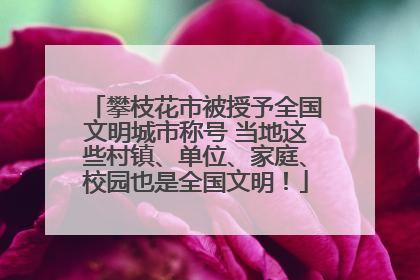 攀枝花市被授予全国文明城市称号 当地这些村镇、单位、家庭、校园也是全国文明！