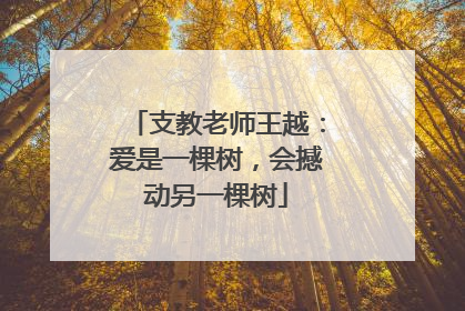 支教老师王越：爱是一棵树，会撼动另一棵树