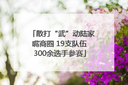 散打“武”动陆家嘴商圈 19支队伍300余选手参赛