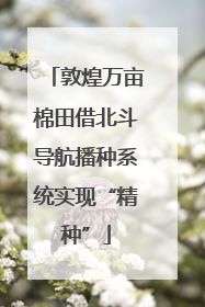 敦煌万亩棉田借北斗导航播种系统实现“精种”