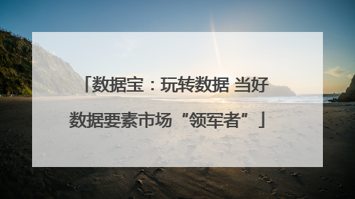 数据宝：玩转数据 当好数据要素市场“领军者”