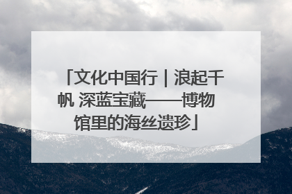 文化中国行｜浪起千帆 深蓝宝藏——博物馆里的海丝遗珍