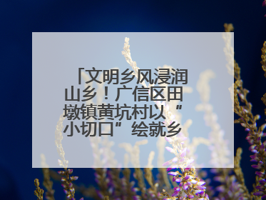 文明乡风浸润山乡！广信区田墩镇黄坑村以“小切口”绘就乡村振兴大图景