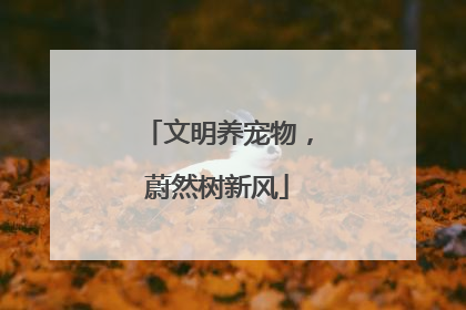文明养宠物，蔚然树新风