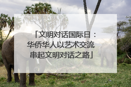 文明对话国际日：华侨华人以艺术交流串起文明对话之路