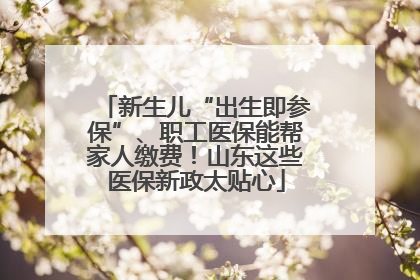 新生儿“出生即参保”、职工医保能帮家人缴费！山东这些医保新政太贴心