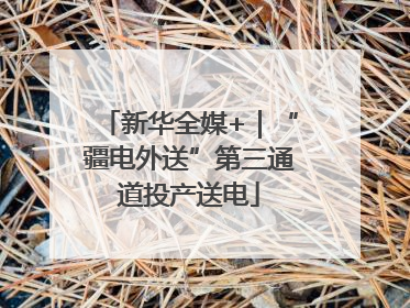 新华全媒+｜“疆电外送”第三通道投产送电