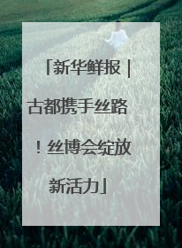 新华鲜报｜古都携手丝路！丝博会绽放新活力