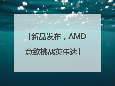 新品发布，AMD意欲挑战英伟达