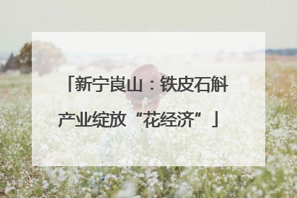 新宁崀山：铁皮石斛产业绽放“花经济”