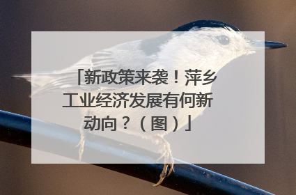 新政策来袭！萍乡工业经济发展有何新动向？（图）